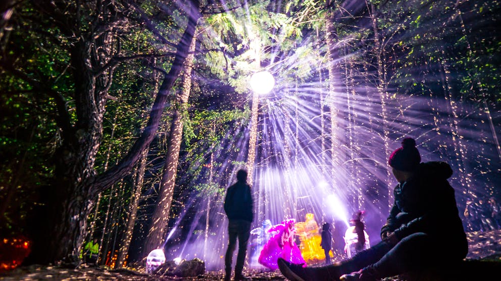 LUMA19 photo credit Kiara Collab