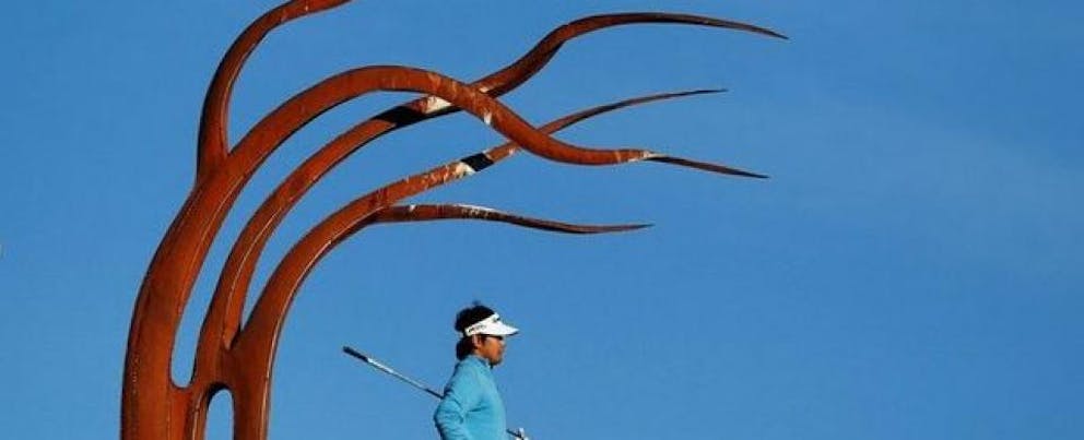 croppedimage960390 NZ Golf Open