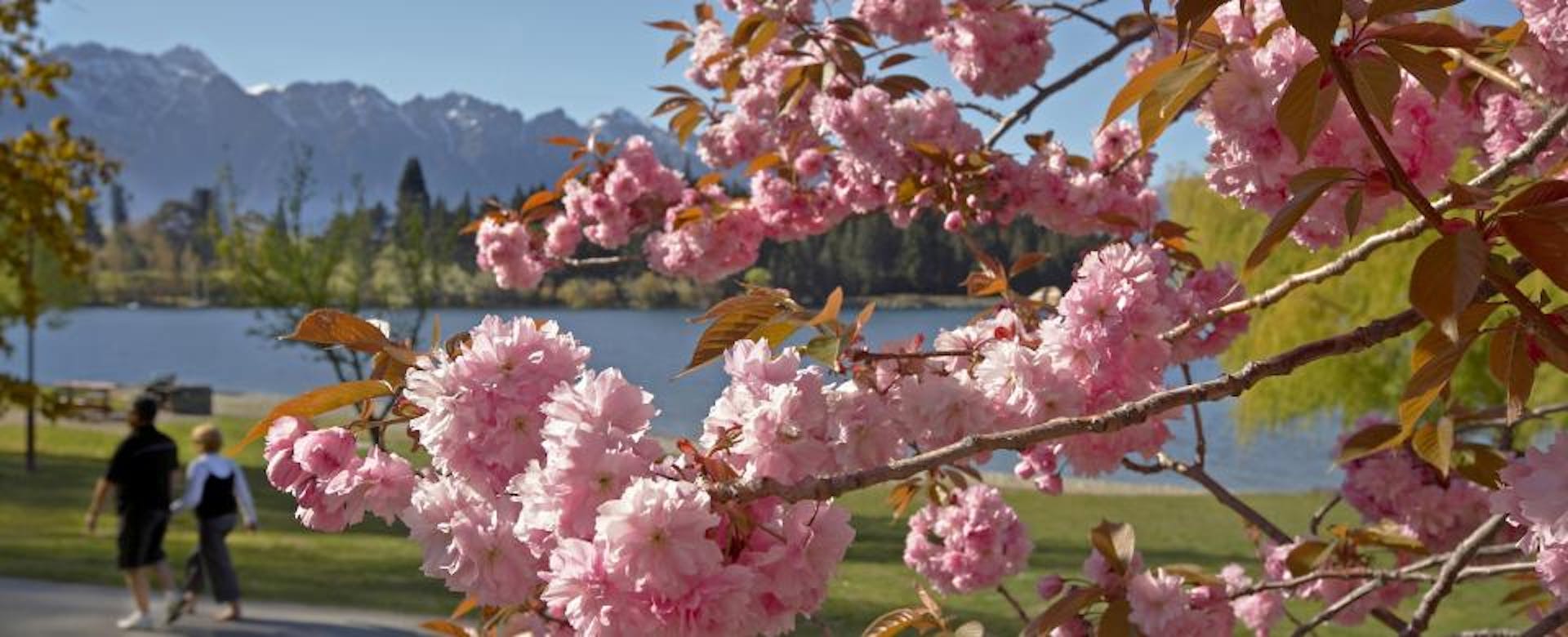 5 Reasons To Spend Spring In Queenstown Staysouth Apartment