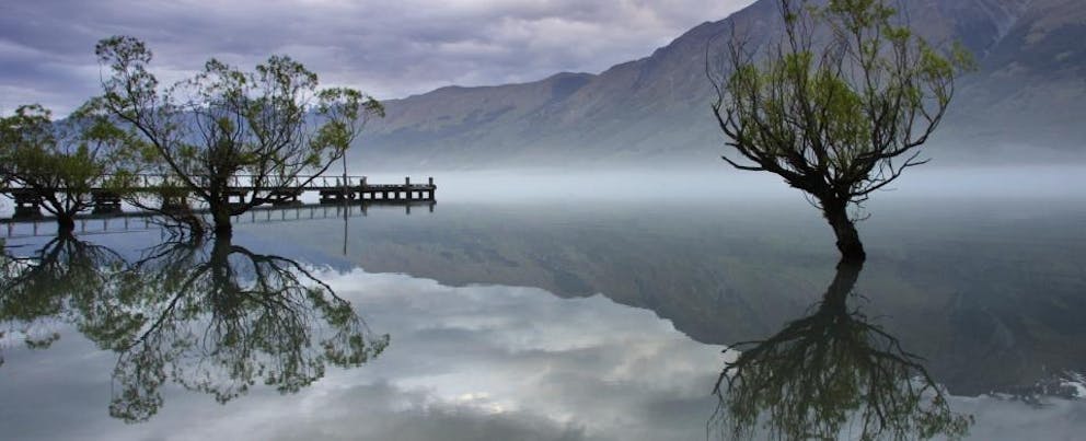 croppedimage960390 Willows in Glenorchy